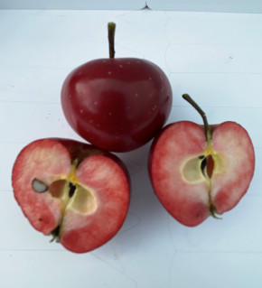 Mini Apfel Detskoe